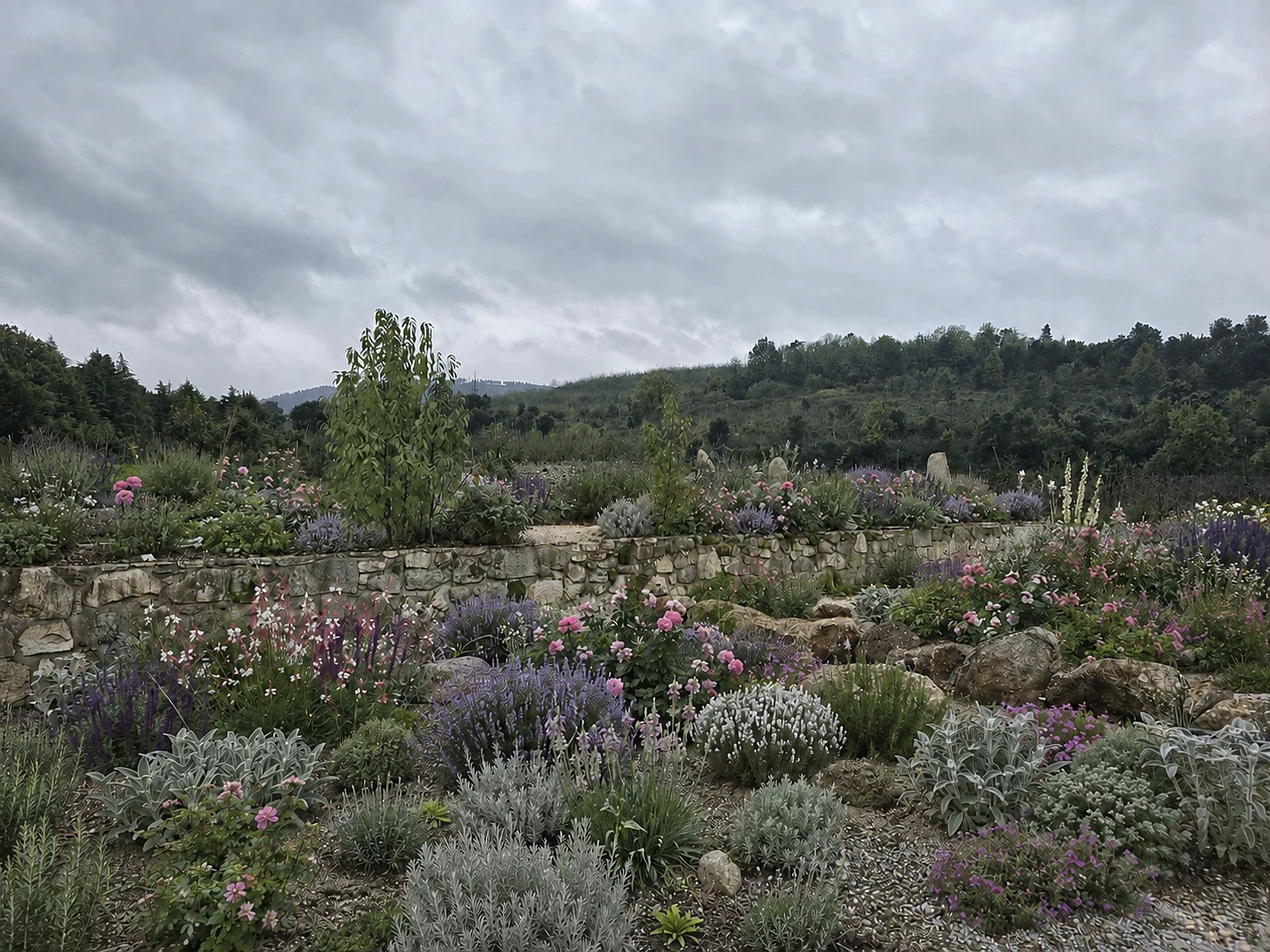 A stone terrace wall densely planted with perennials